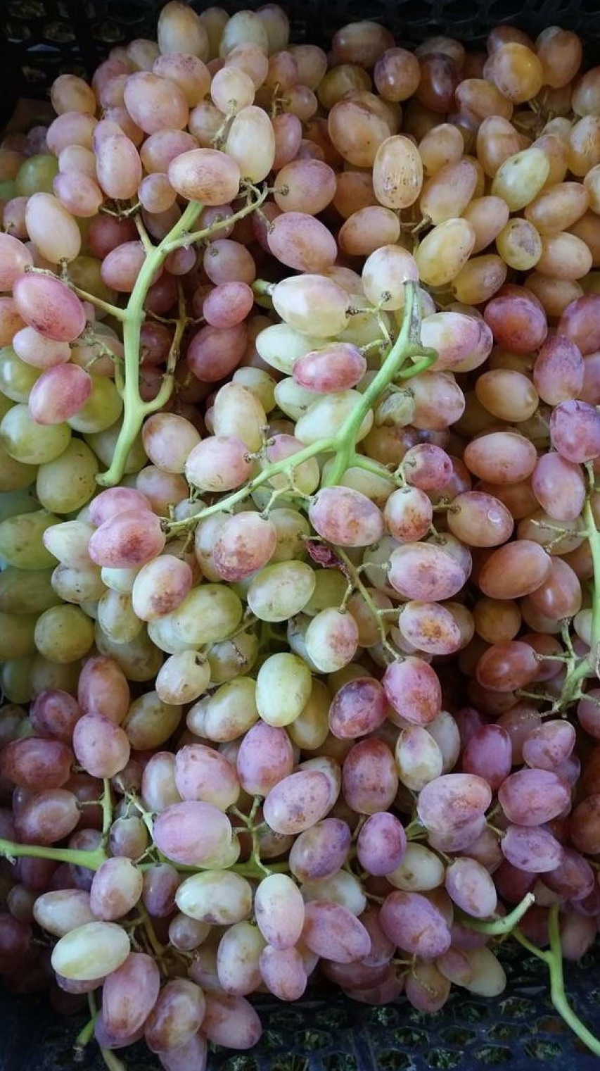 Сколько стоит 1 килограмм винограда